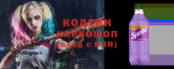 ешки Бородино