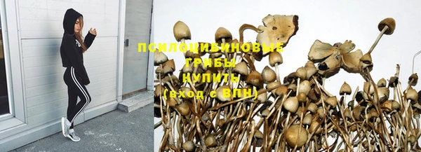 ешки Бородино
