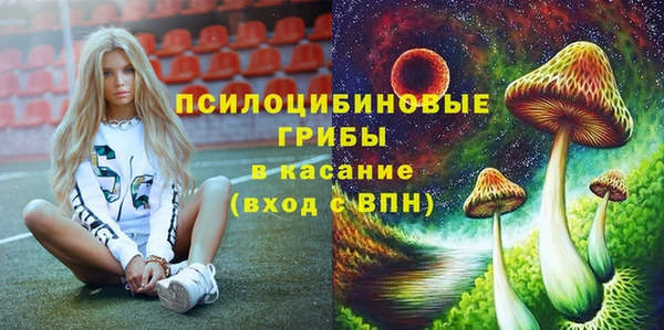 дмт Бронницы
