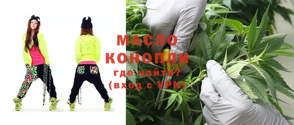 ешки Бородино