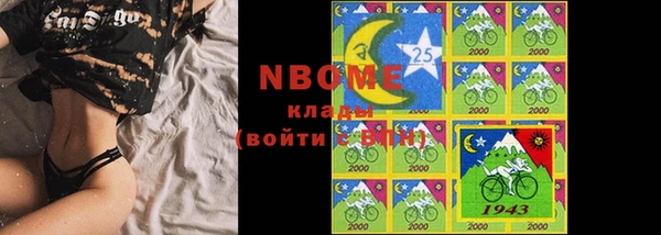 ешки Бородино