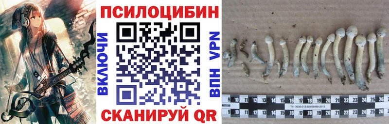 купить закладку  Губаха  Псилоцибиновые грибы ЛСД 